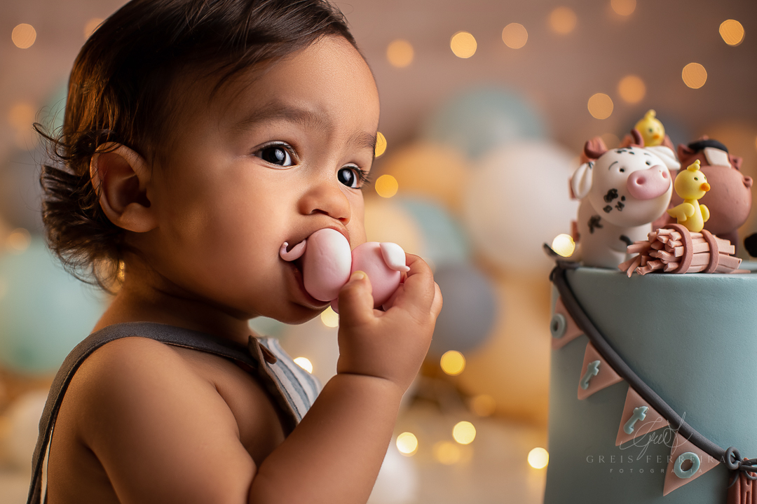 smash the cake fazendinha ensaio de bebe 1 aninho 12 meses