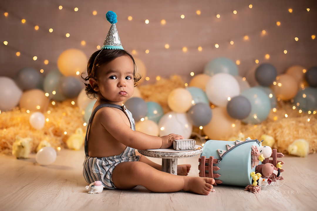smash the cake fazendinha ensaio de bebe 1 aninho 12 meses