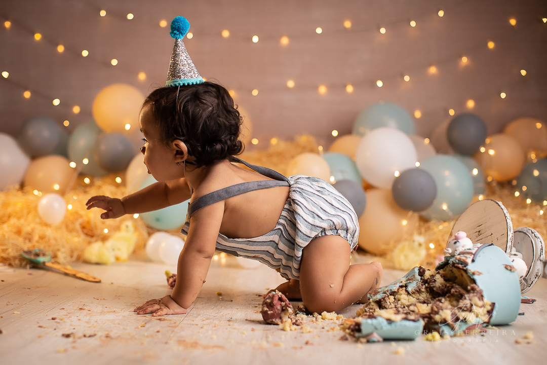 smash the cake fazendinha ensaio de bebe 1 aninho 12 meses