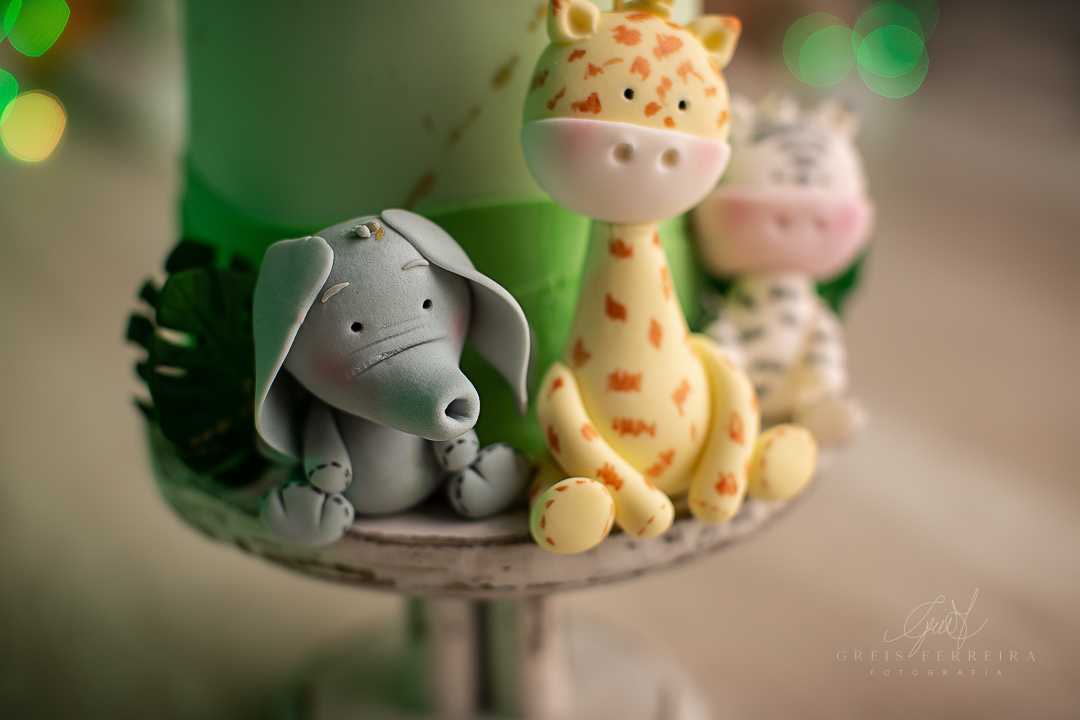 smashthecakesafari_ensaiodebebe_03