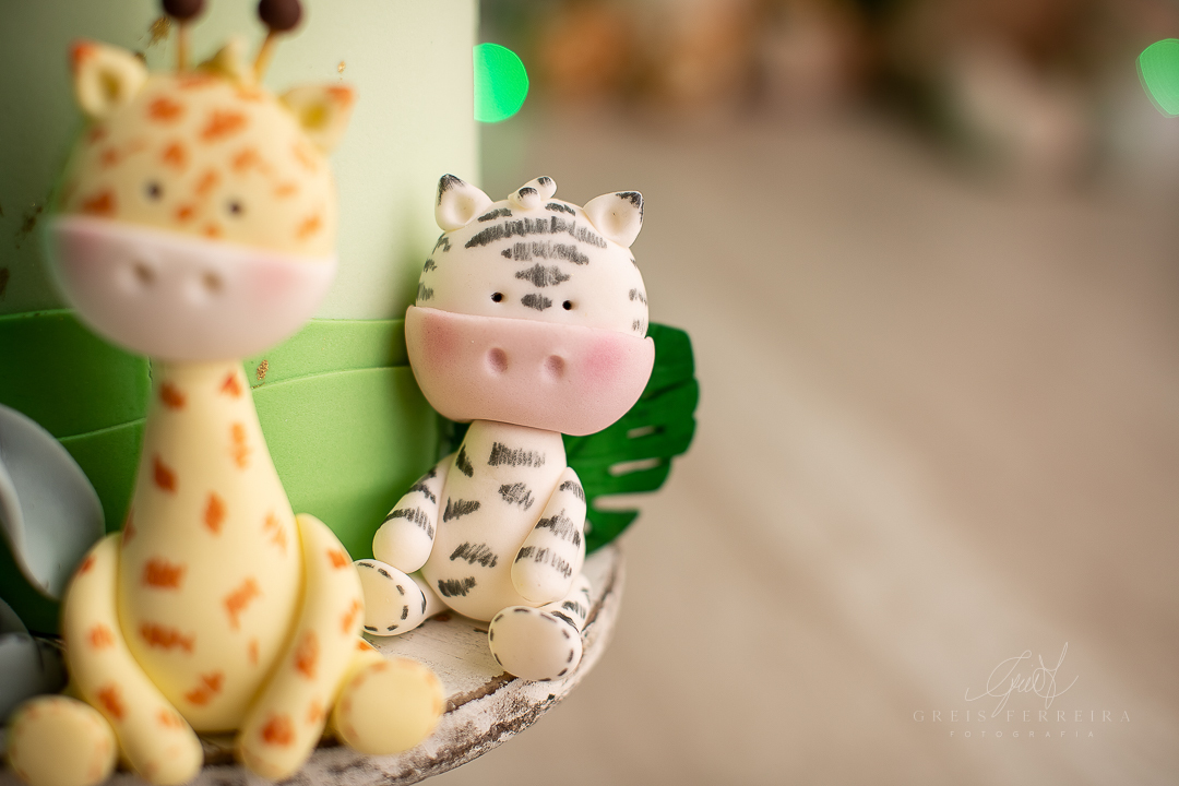 smashthecakesafari_ensaiodebebe_04