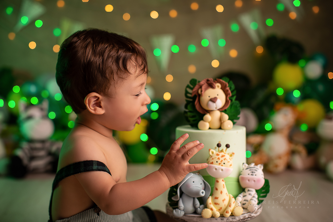 smashthecakesafari_ensaiodebebe_13