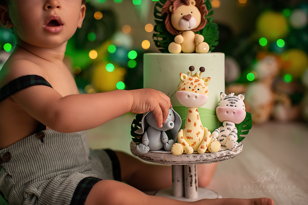 smashthecakesafari_ensaiodebebe_14