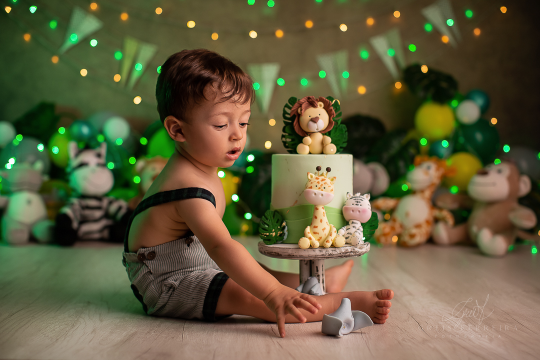 smashthecakesafari_ensaiodebebe_15