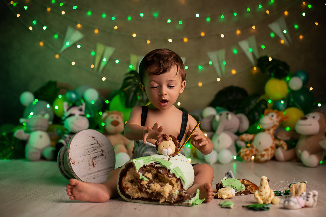 smashthecakesafari_ensaiodebebe_23