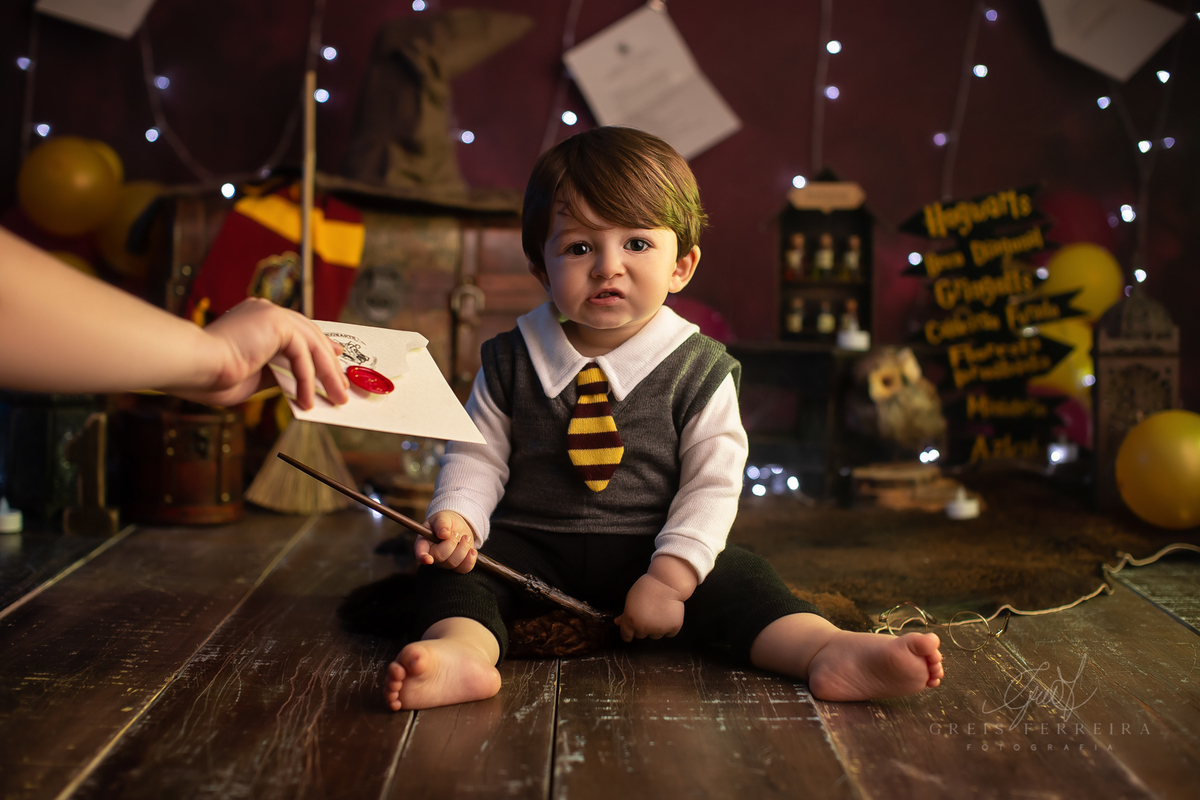 harry_potter_20_anos_04