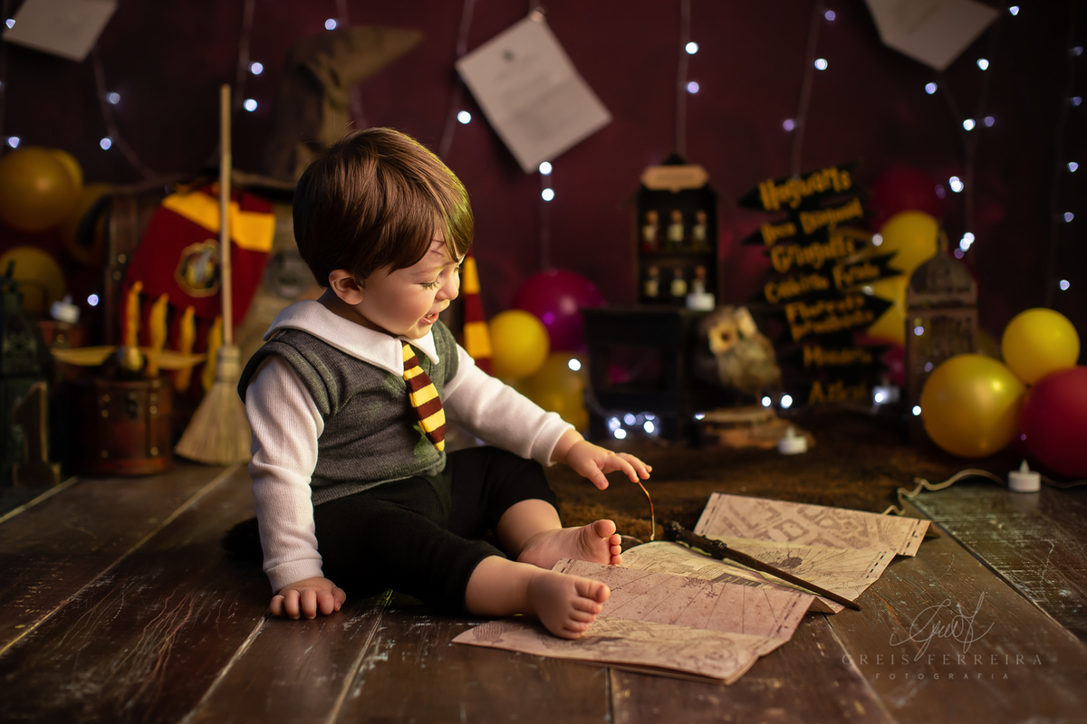 harry_potter_20_anos_05