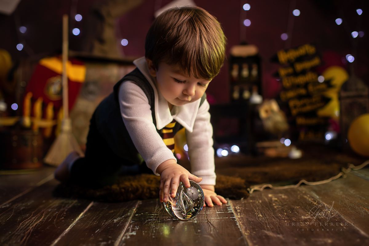 harry_potter_20_anos_07