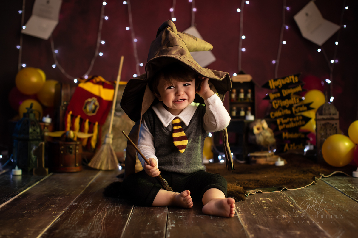 harry_potter_20_anos_09