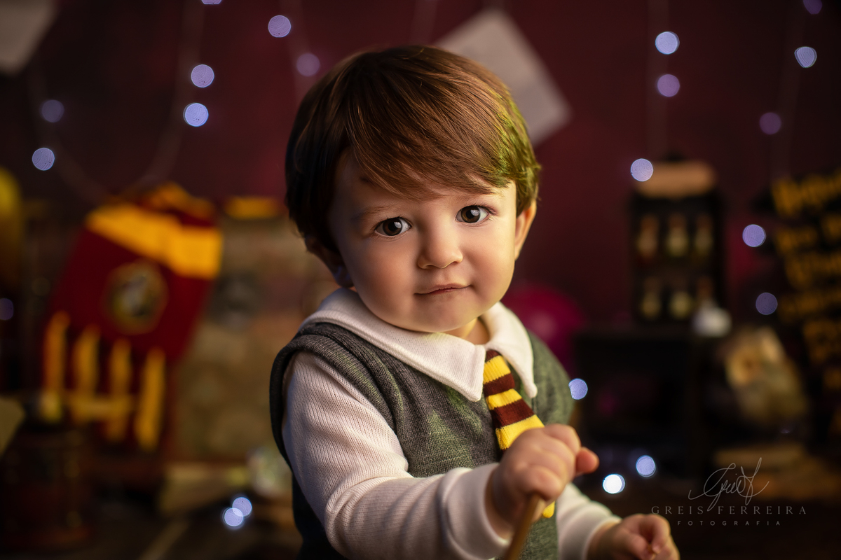 harry_potter_20_anos_10