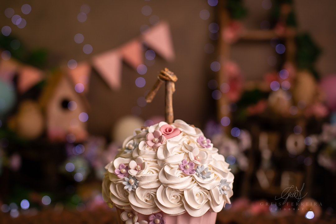 smashthecakefada_ensaiodebebe_02