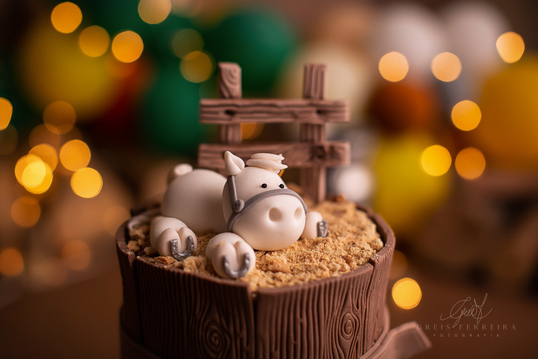 smash the cake fazendinha ensaio de aniversario de bebe de 1 ano