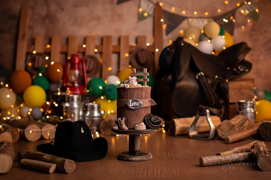 smash the cake fazendinha ensaio de aniversario de bebe de 1 ano