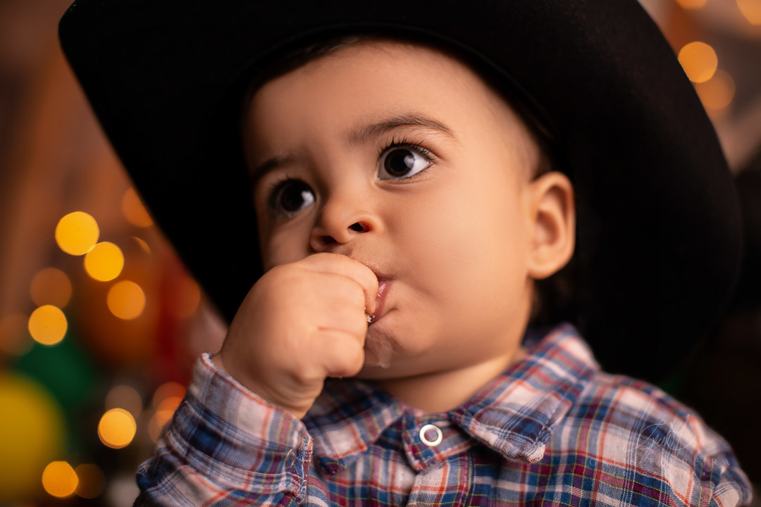 smash the cake fazendinha ensaio de aniversario de bebe de 1 ano