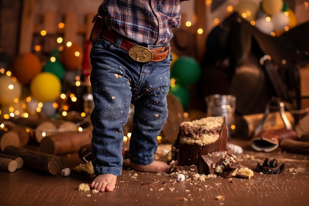 smash the cake fazendinha ensaio de aniversario de bebe de 1 ano