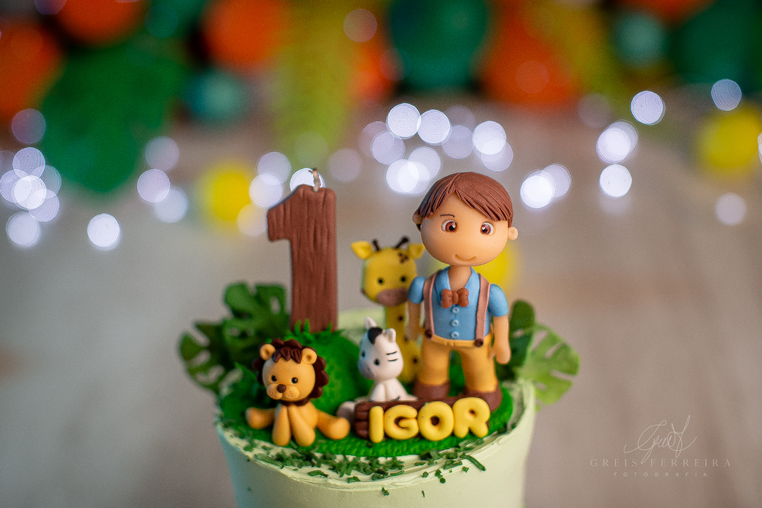 smash the cake safari ensaio de aniversario bebe menino de 1 ano