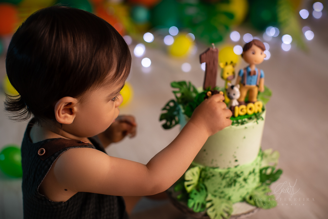 smash the cake safari ensaio de aniversario bebe menino de 1 ano