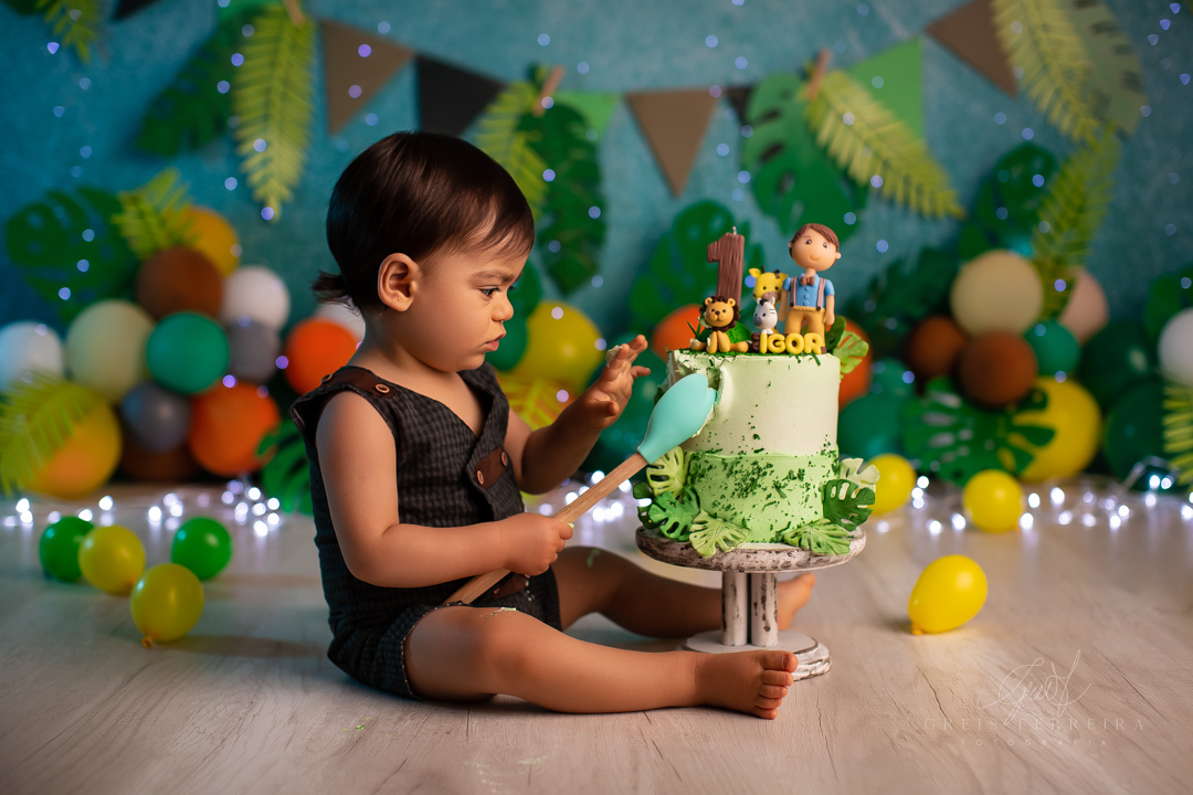 smash the cake safari ensaio de aniversario bebe menino de 1 ano