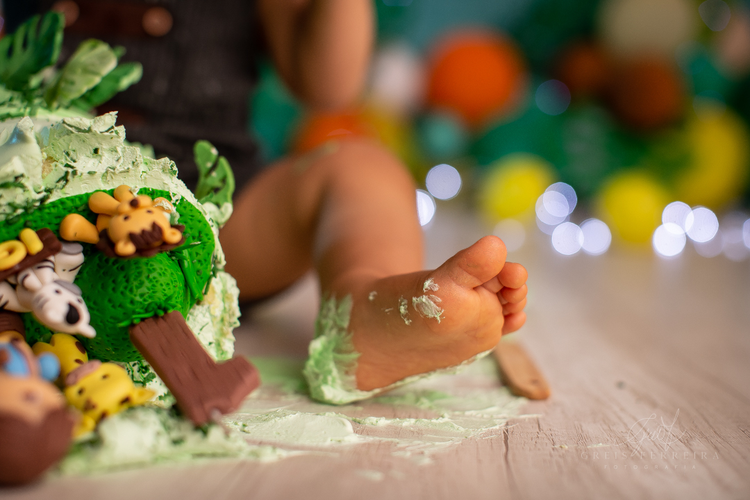 smash the cake safari ensaio de aniversario bebe menino de 1 ano