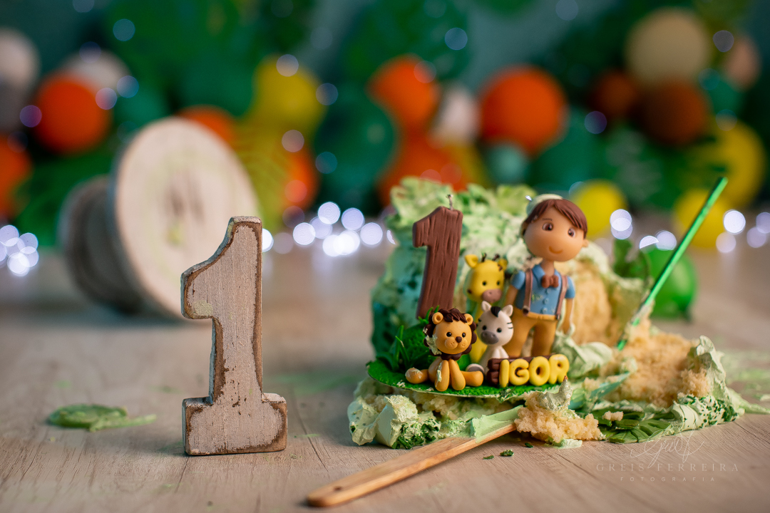 smash the cake safari ensaio de aniversario bebe menino de 1 ano