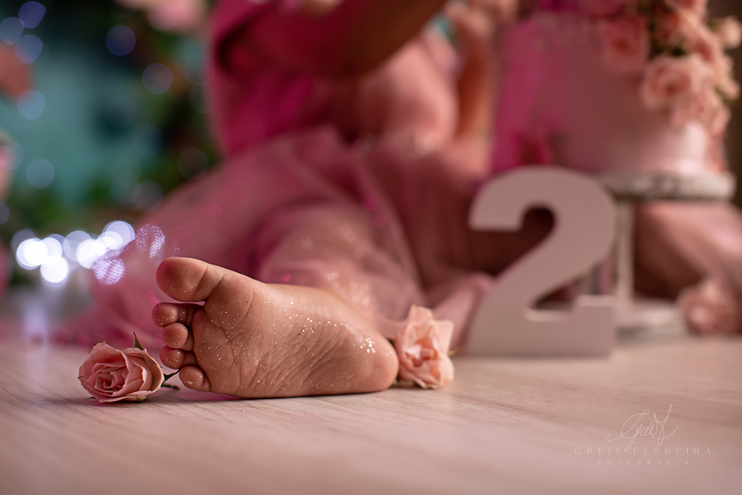 smash the cake jardim encantado ensaio de aniversario de 2 anos