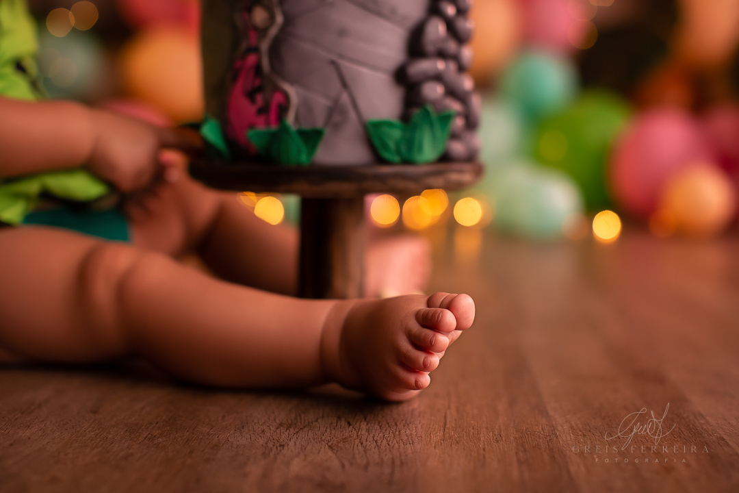 smash the cake da pedrita flintstones ensaio de aniversario de bebe de 1 ano