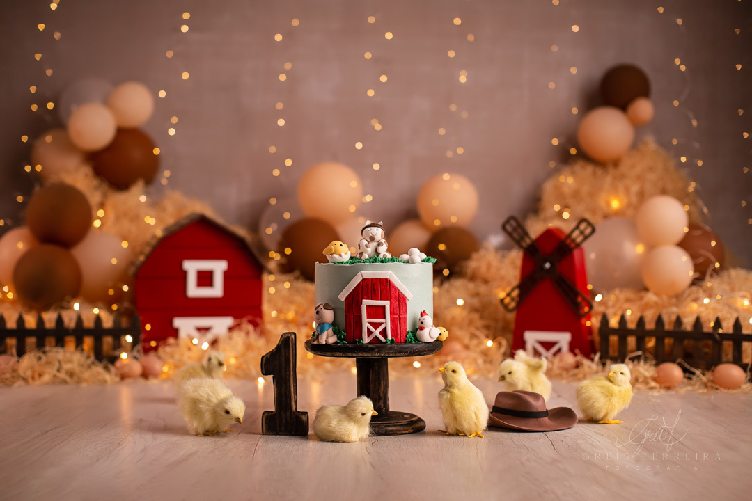smashthecakefazendinha_ensaiodebebe_01