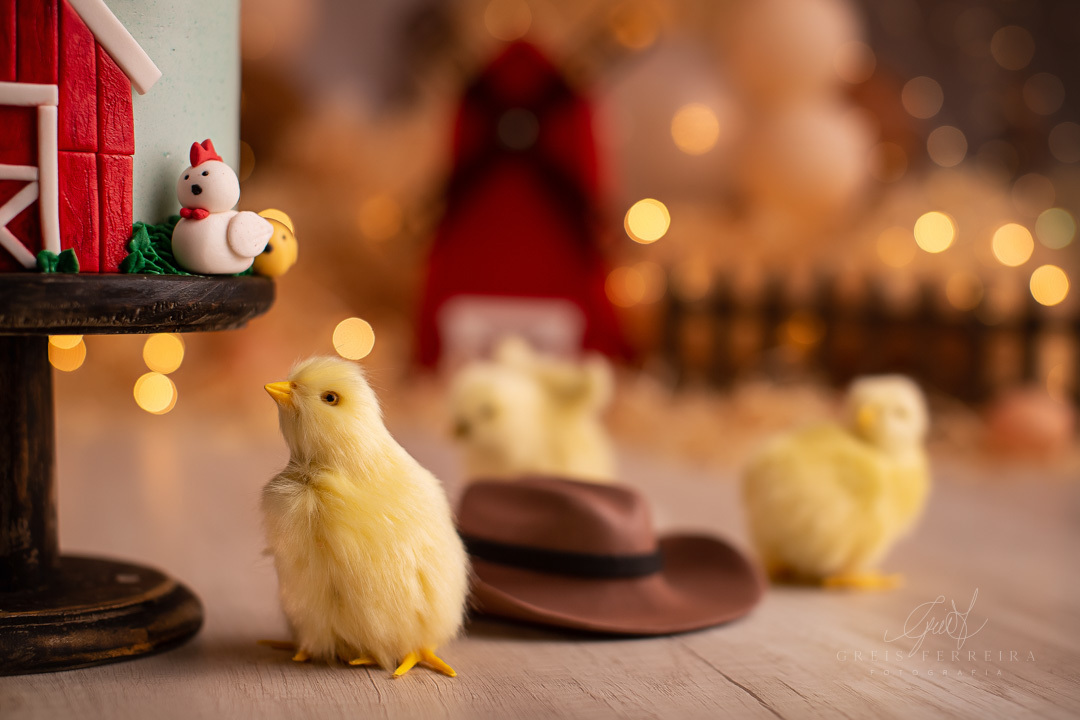 smashthecakefazendinha_ensaiodebebe_02