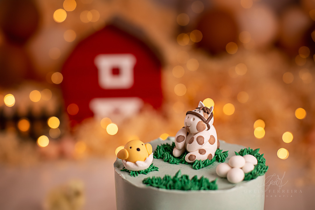 smashthecakefazendinha_ensaiodebebe_04