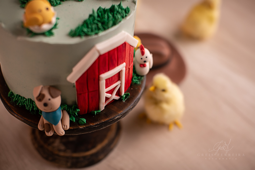 smashthecakefazendinha_ensaiodebebe_07