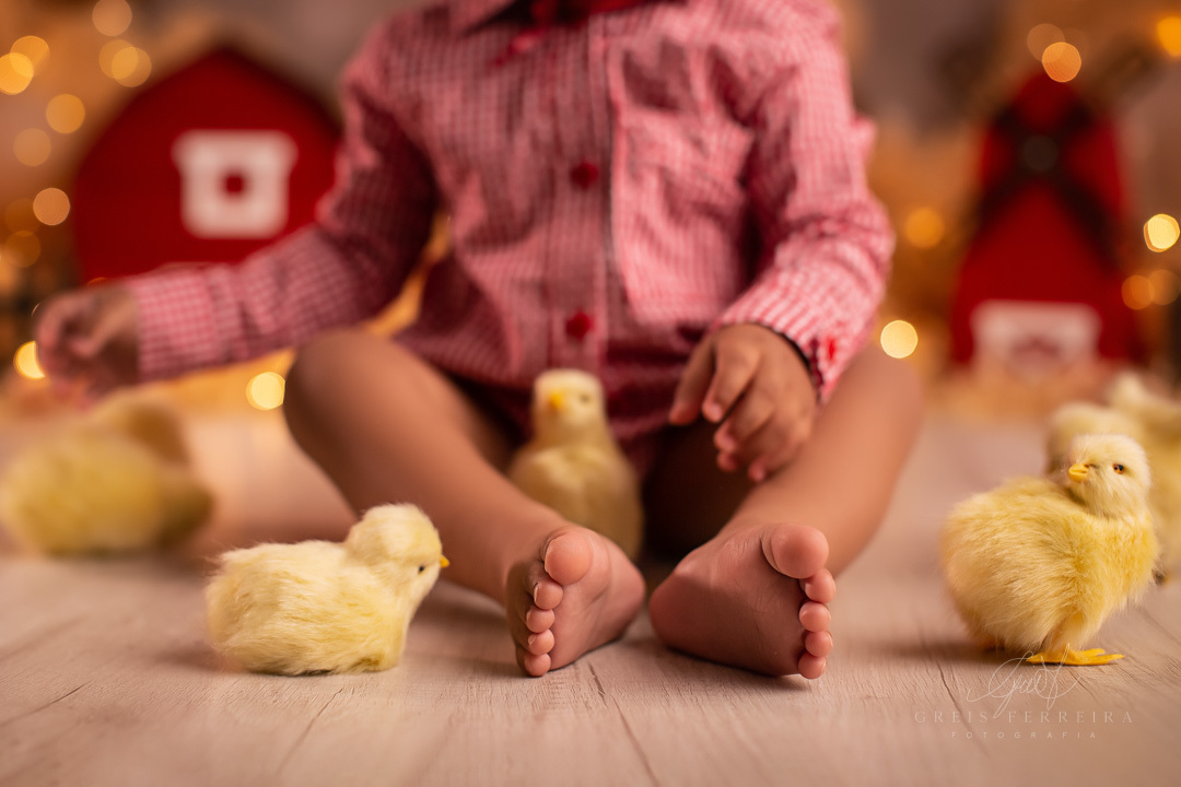 smashthecakefazendinha_ensaiodebebe_08