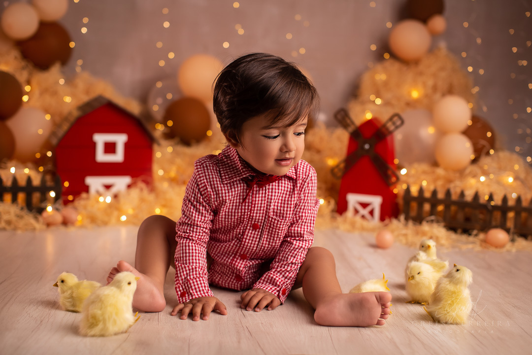 smashthecakefazendinha_ensaiodebebe_10