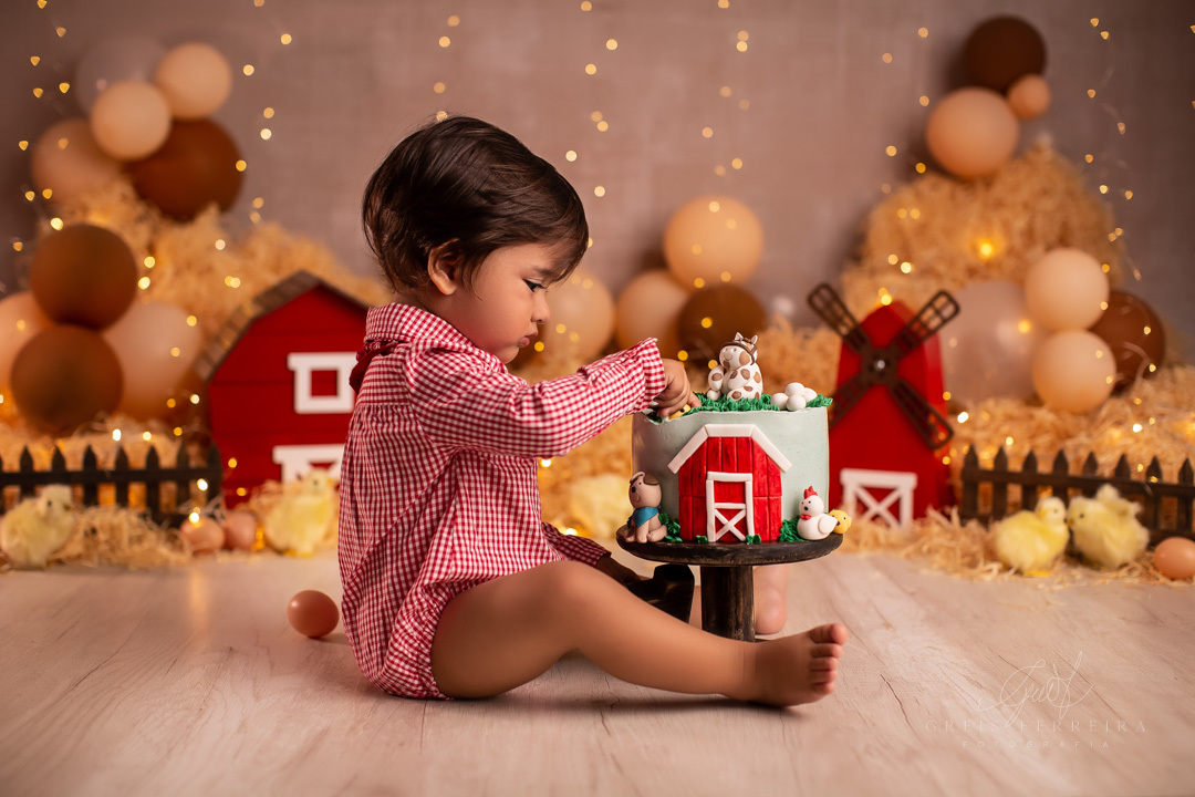smashthecakefazendinha_ensaiodebebe_14