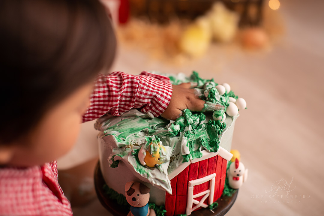 smashthecakefazendinha_ensaiodebebe_17