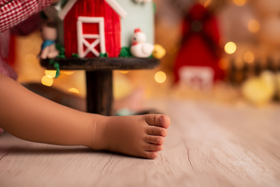 smashthecakefazendinha_ensaiodebebe_18