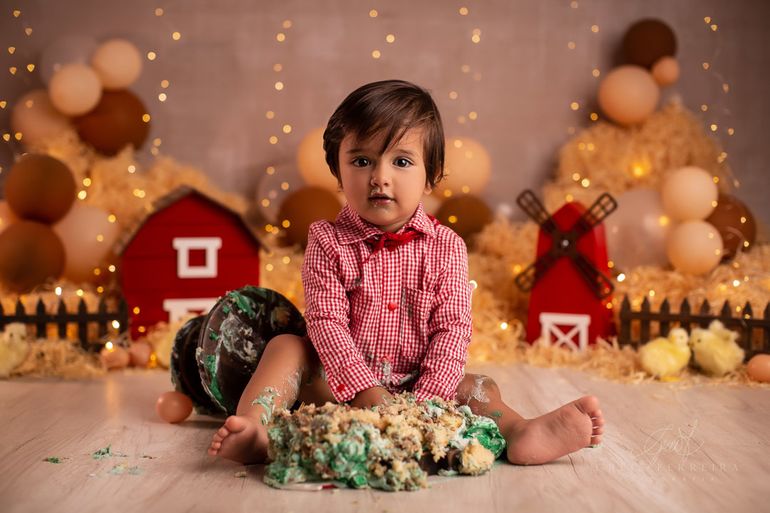 smashthecakefazendinha_ensaiodebebe_22