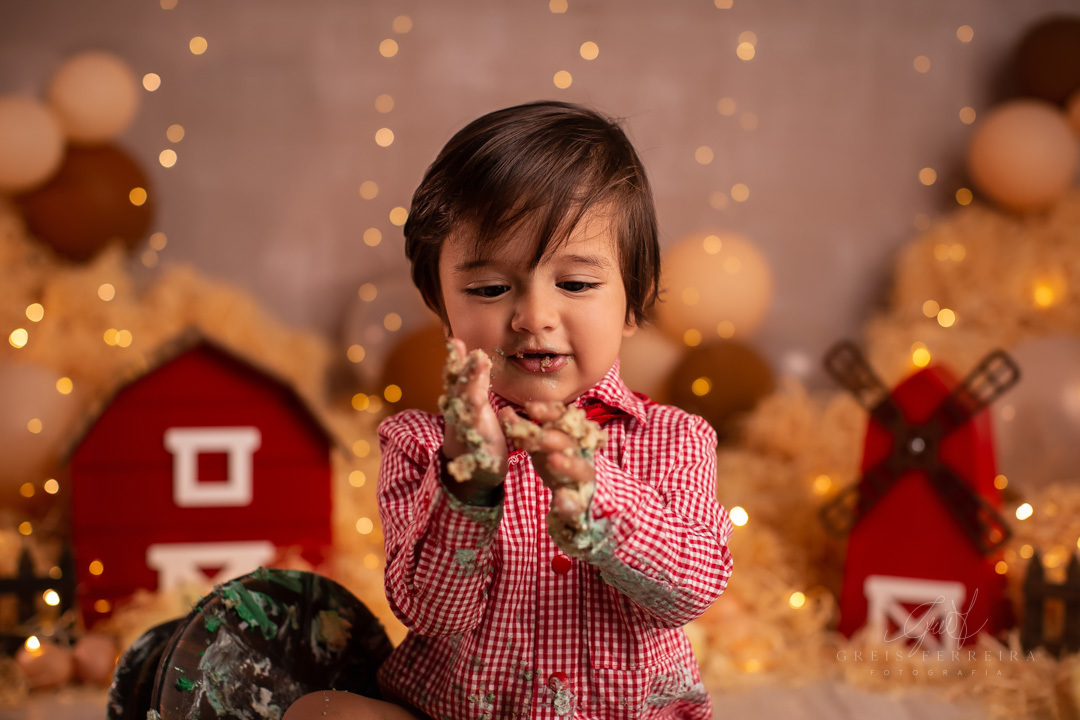 smashthecakefazendinha_ensaiodebebe_23