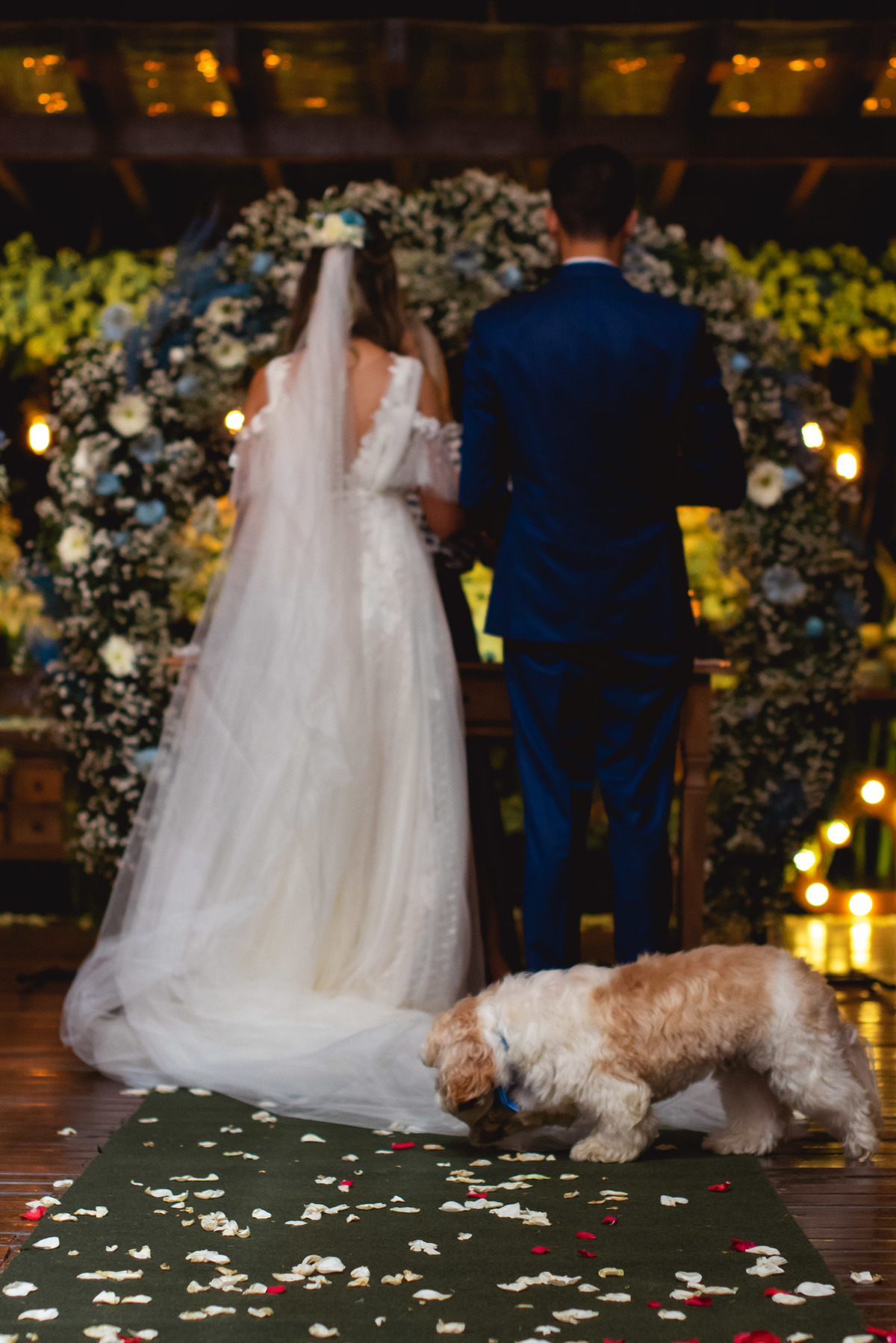 cao na cerimonia de casamento | casamento bambu lounge | casamento de dia coberto