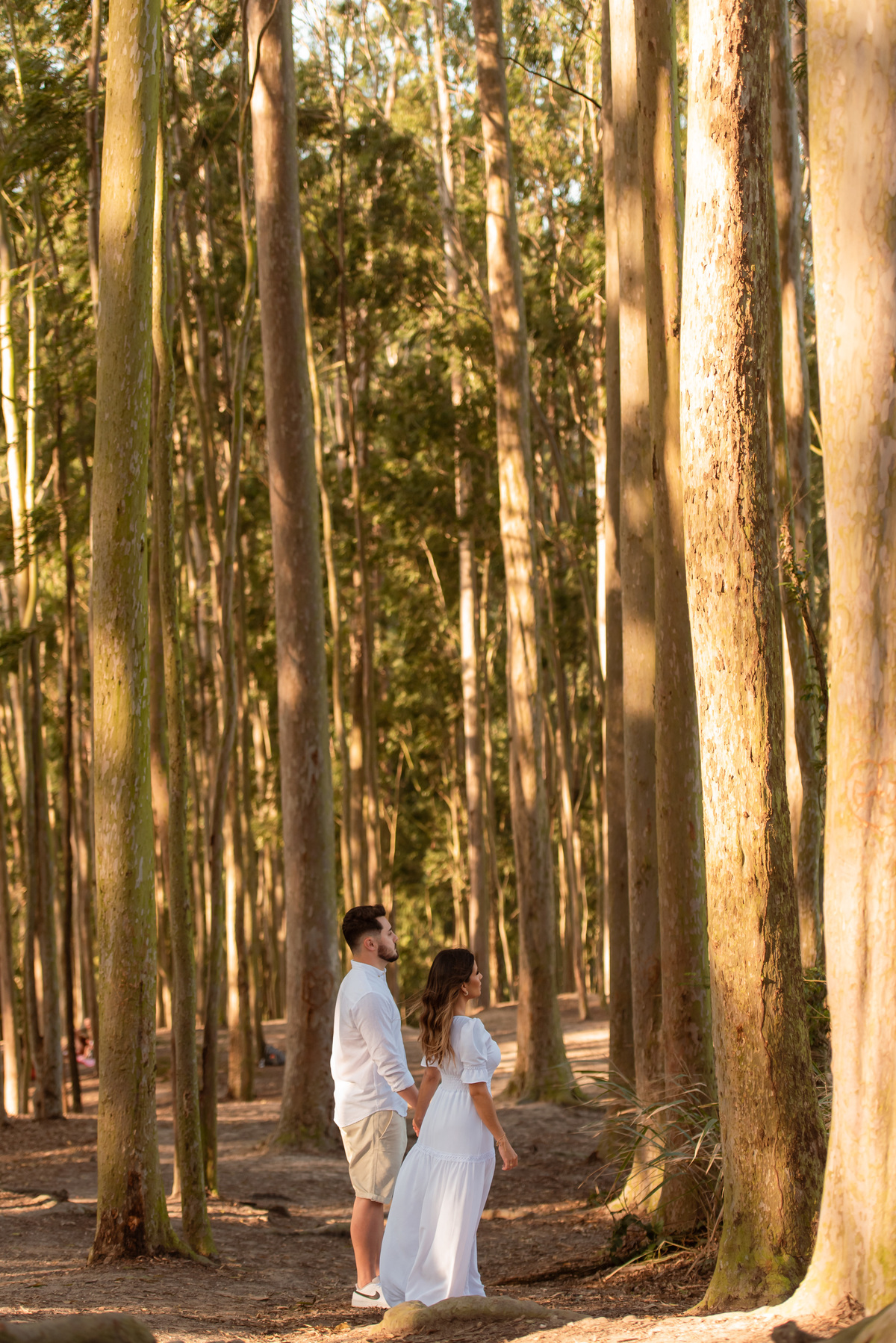 ensaio de casal parque da cidade por do sol - pre wedding por do sol - pre casamento niteroi parque da cidade 