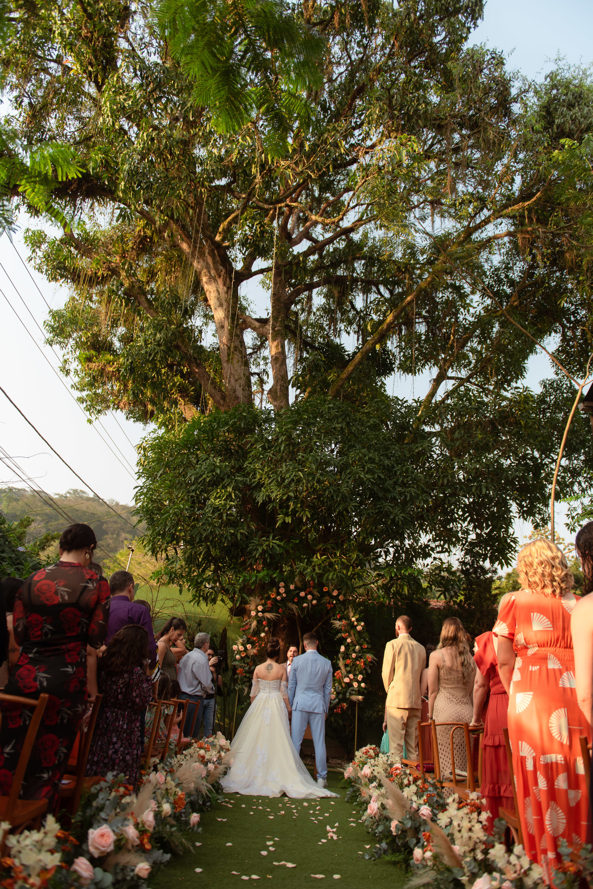 casamento na arvore | casamento no jardim | casamento de dia | casamento no campo