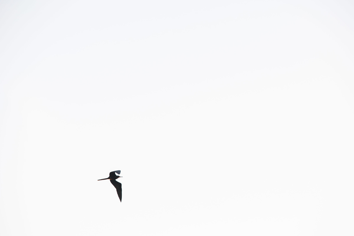 fotografo de casamento de dia niteroi | fotografia de casamento niteroi RJ