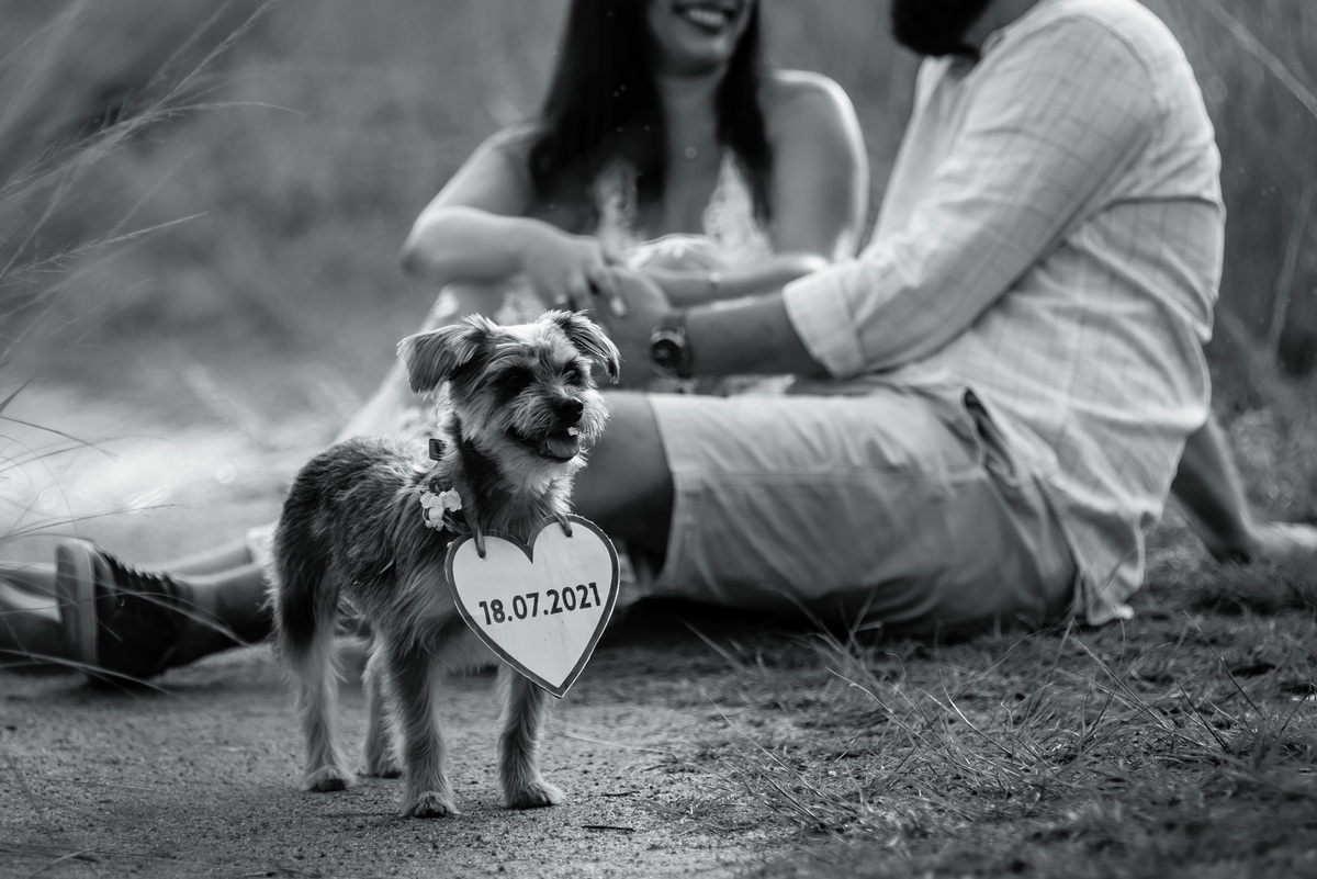 ensaio pre wedding guaratiba rio de janeiro RJ