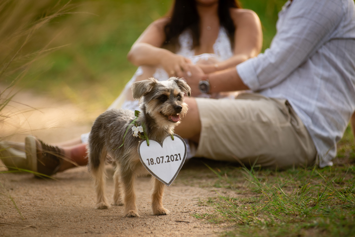 ensaio pre wedding guaratiba rio de janeiro RJ