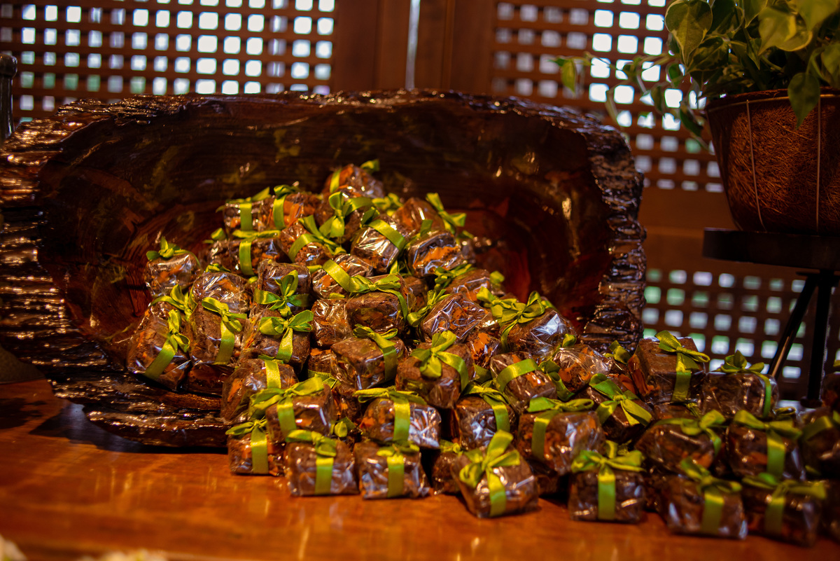 Fotografia de Casamento ao ar livre Bianca e Fernando | Rio de Janeiro - RJ | Fotografo Douglas Felicio Especialista em casamentos |  bem casados casamento