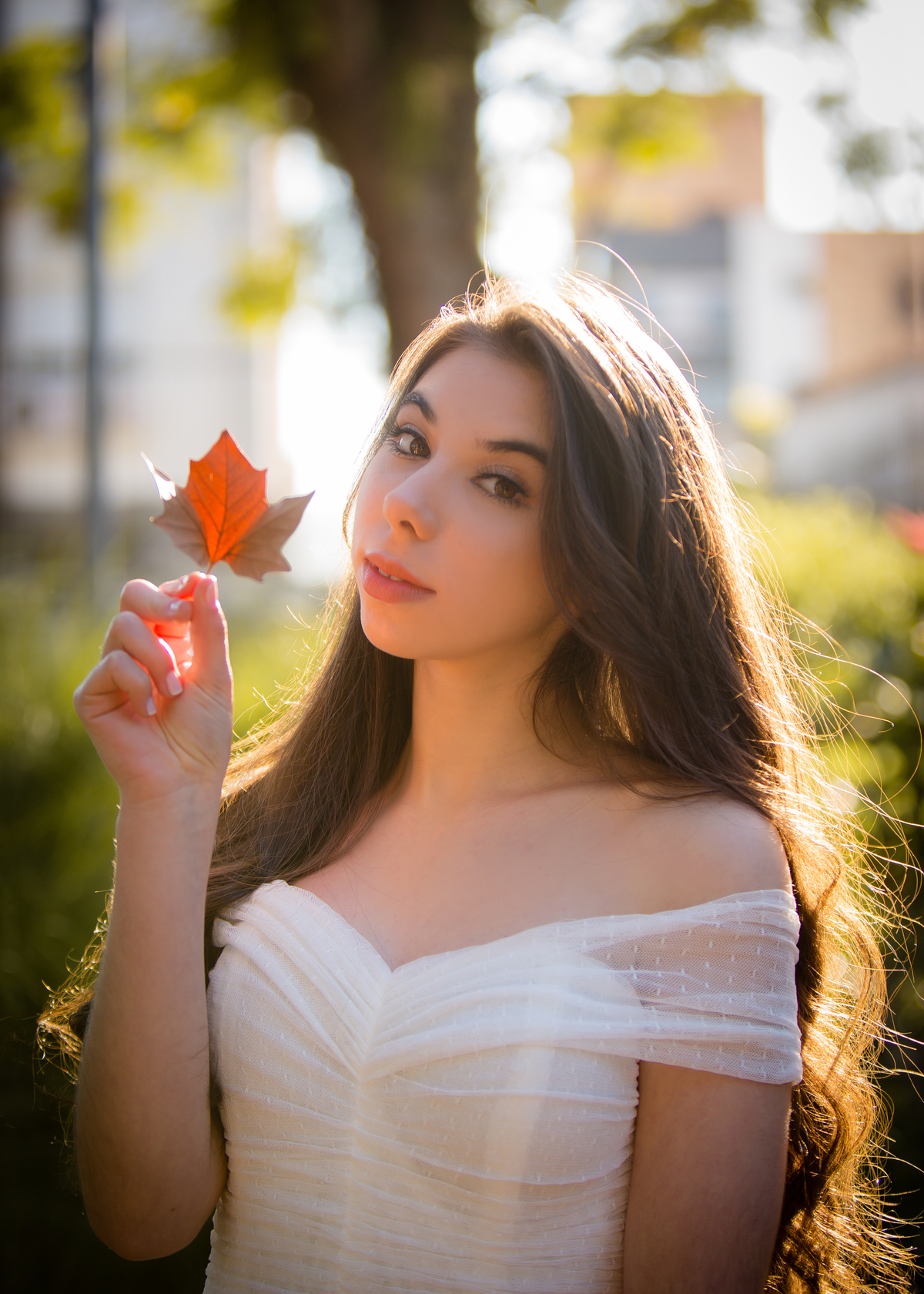 Ensaio de 15 Anos externo