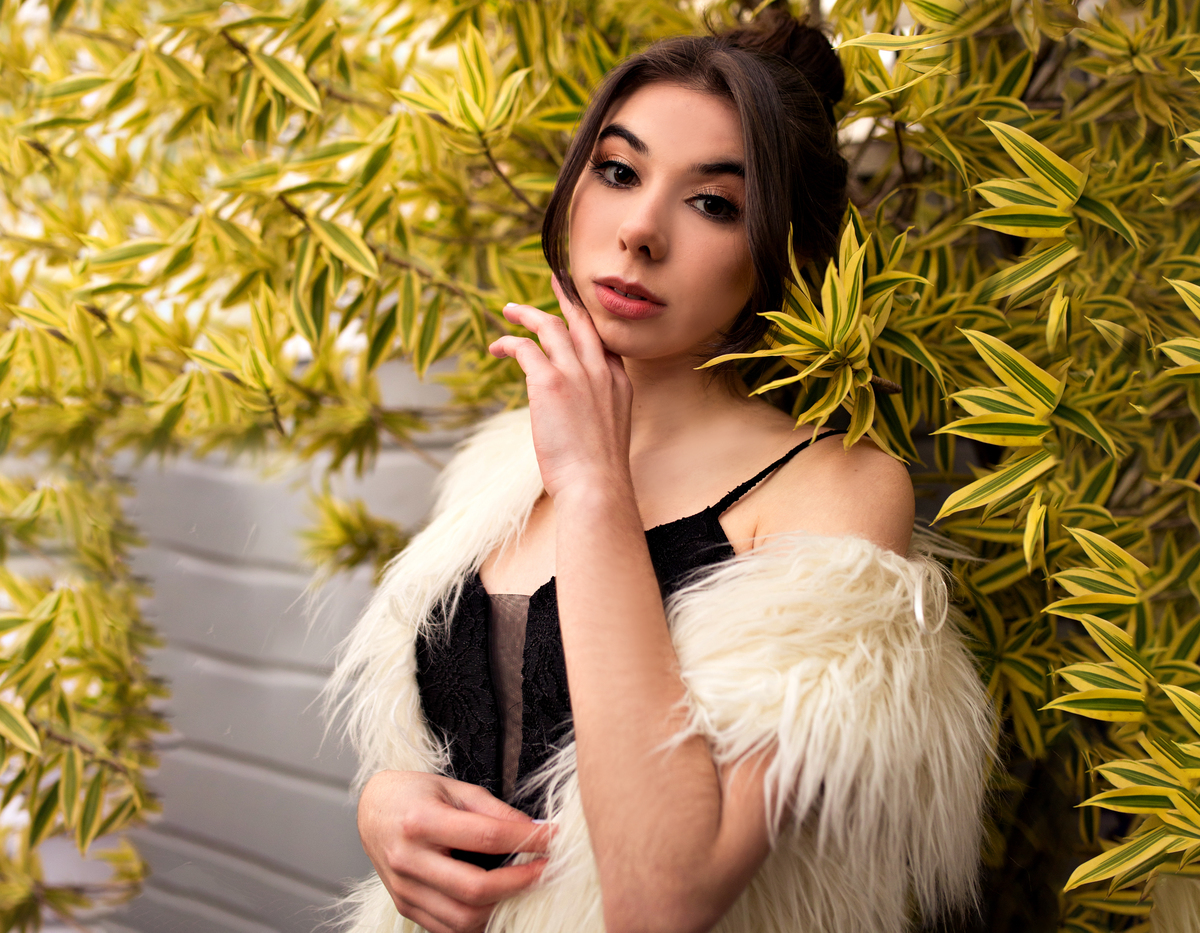 Ensaio de 15 Anos externo