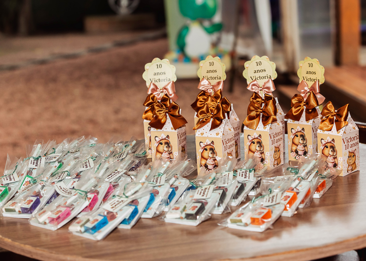 Aniversário infantil