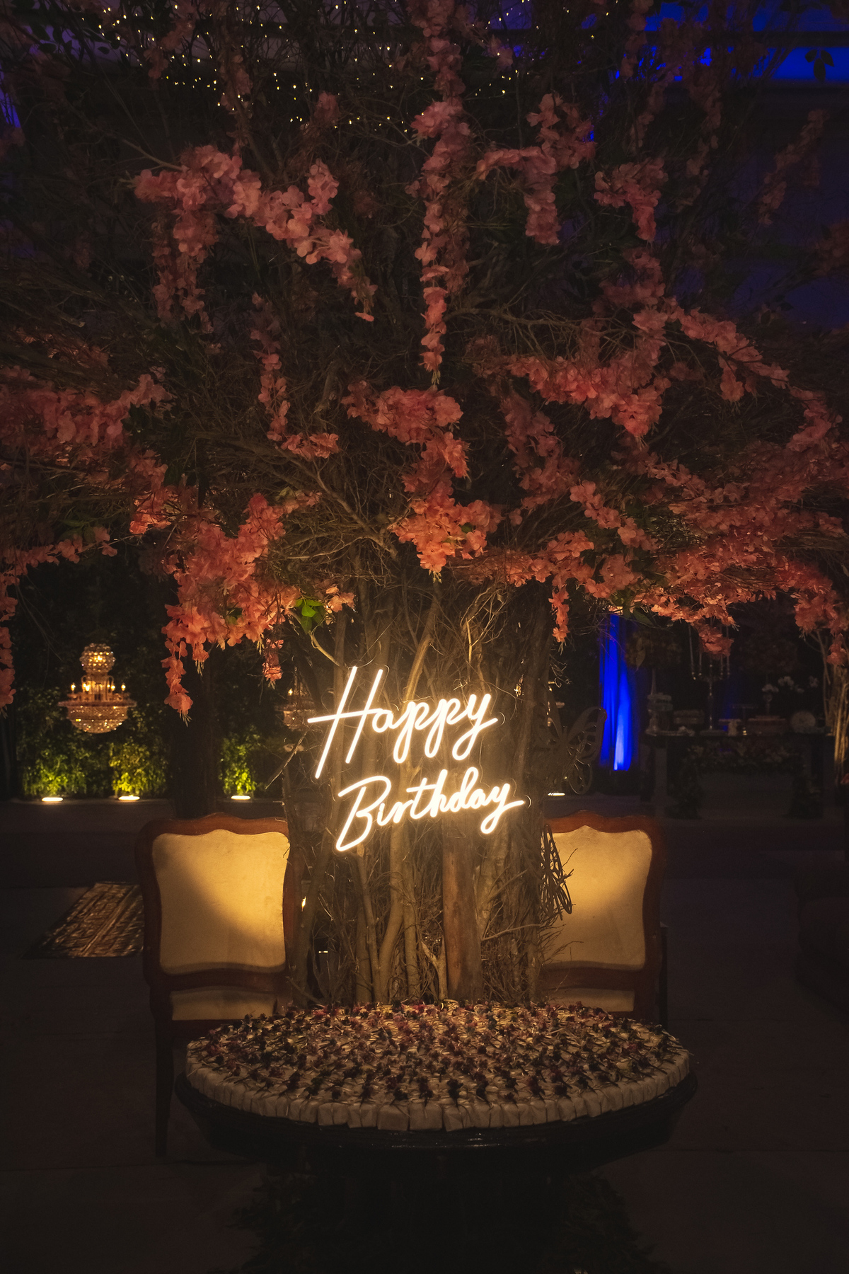 Festa de 15 anos - Fotógrafo de debutantes