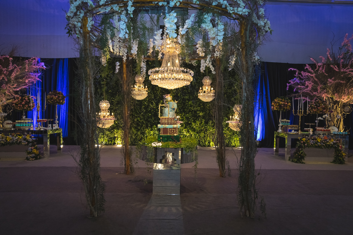 Festa de 15 anos - Fotógrafo de debutantes