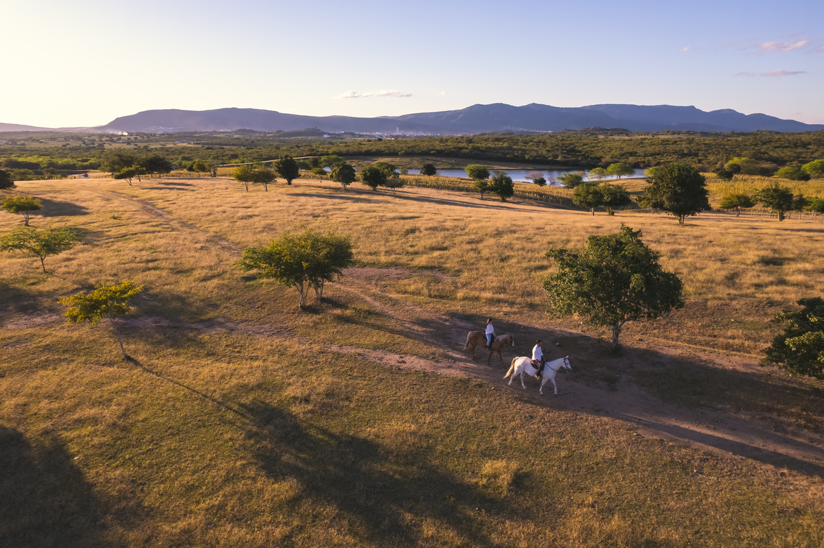 Pré casamento - Pre wedding - Fotógrafo de casamento